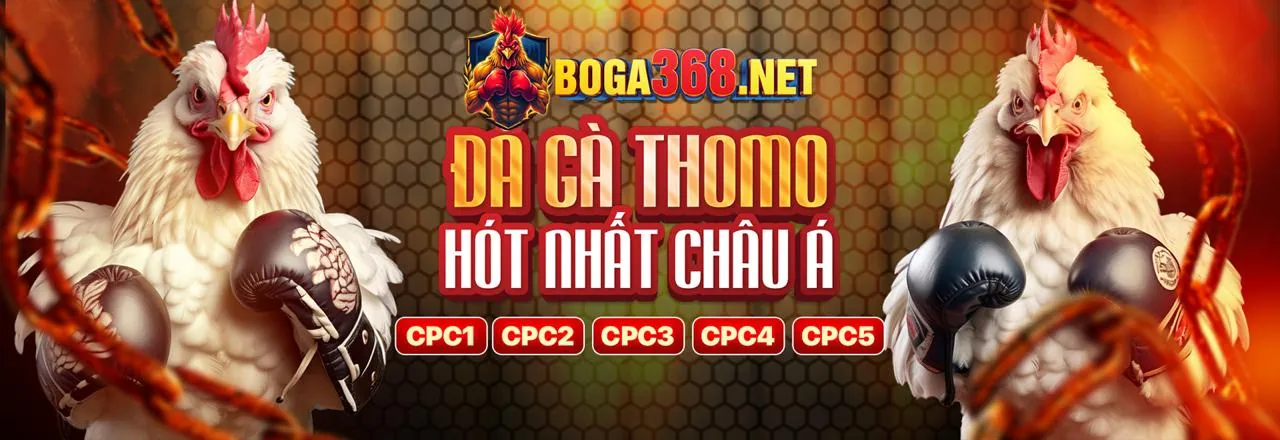 Sân vận động bóng đá với các sự kiện thể thao đa dạng tại 6ff